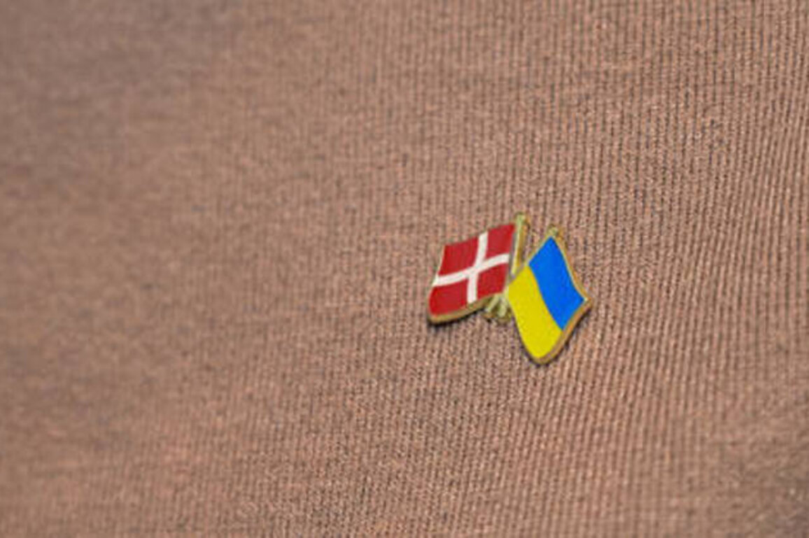 Ukraine's top donor to nearly halve military aid in 2026