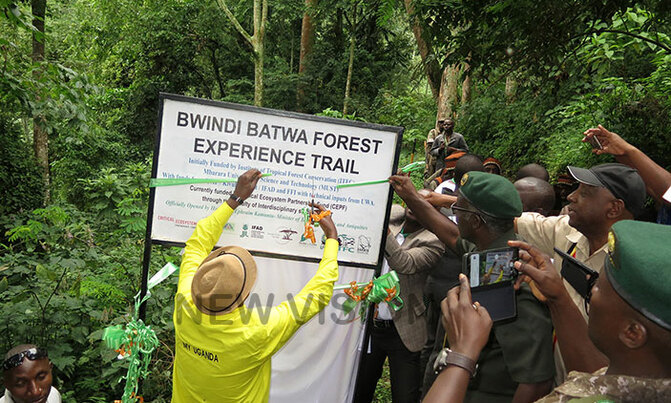 Batwa culture for sale Batwa culture for sale