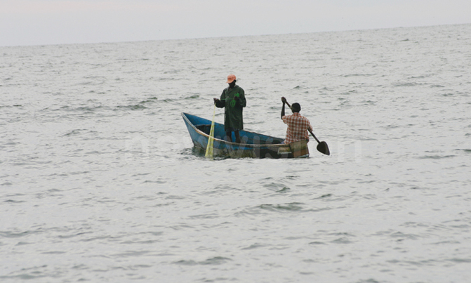Fishing pressure risks erasing largest marine animals Fishing pressure risks erasing largest marine animals