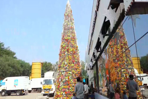 Kerala: 30-foot-tall eco-friendly Christmas tree made of 2,800 plants set up in Malappuram