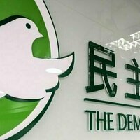 Hong Kong Democratic Partys plan to disband marks end of an era