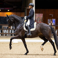 Anush Agarwalla makes international debut at Belgium Dressage events with straight horse Floriana and Flynn