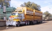 Transport of weak livestock high risk in Victoria