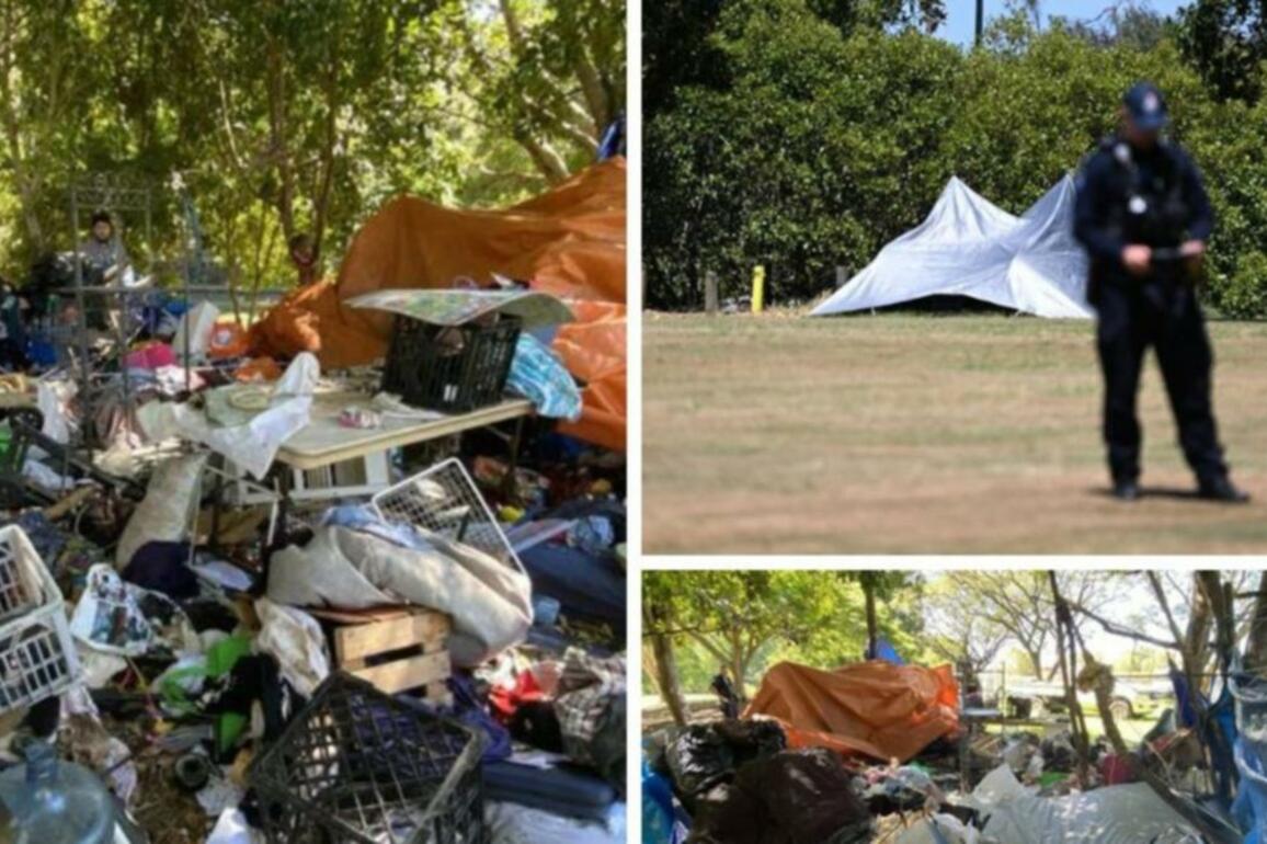 Cruel- Sad sight as council removes tents in homeless crackdown