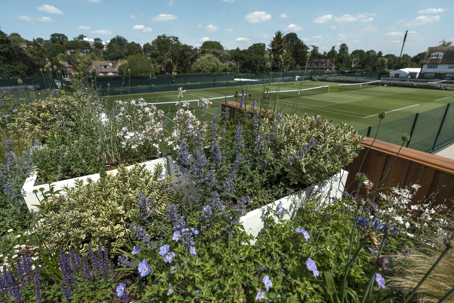 How Wimbledon is aiming to ace the climate adaptation challenge