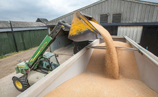 Grain market provides selling opportunities 