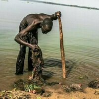 Le lac Victoria devient vert : les bacteries mortelles qui en sont responsables