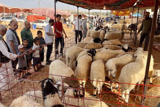 LIBYA-TRIPOLI-EID AL-ADHA-LIVESTOCK-MARKET