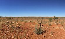 Pacton is farming into ground south of De Grey's Pilbara tenure.