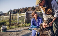 Why working closely with your vet makes more financial sense than ever