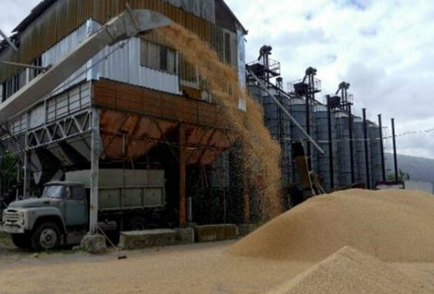 Concerns rise in East Africa as Russia pulls out of Ukrainian grain deal