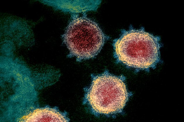 Super mutant Covid strain triggers emergency response