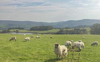 Flip flops, moor fires, drugs, abuse and emergency rescues: The realities of farming in a Right to Roam area