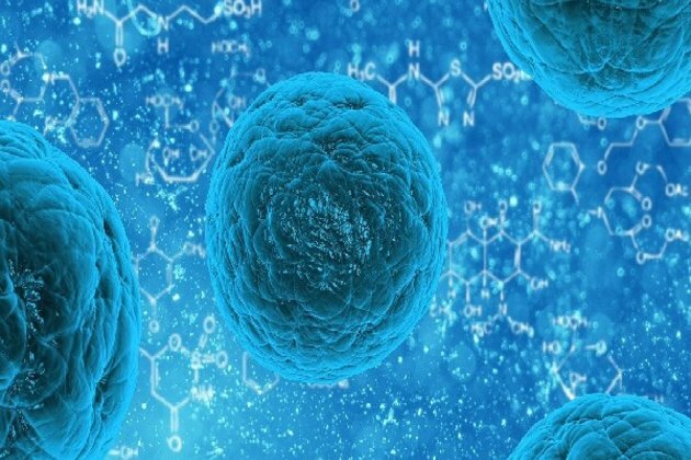 Parents' genes influence child's educational success: Study
