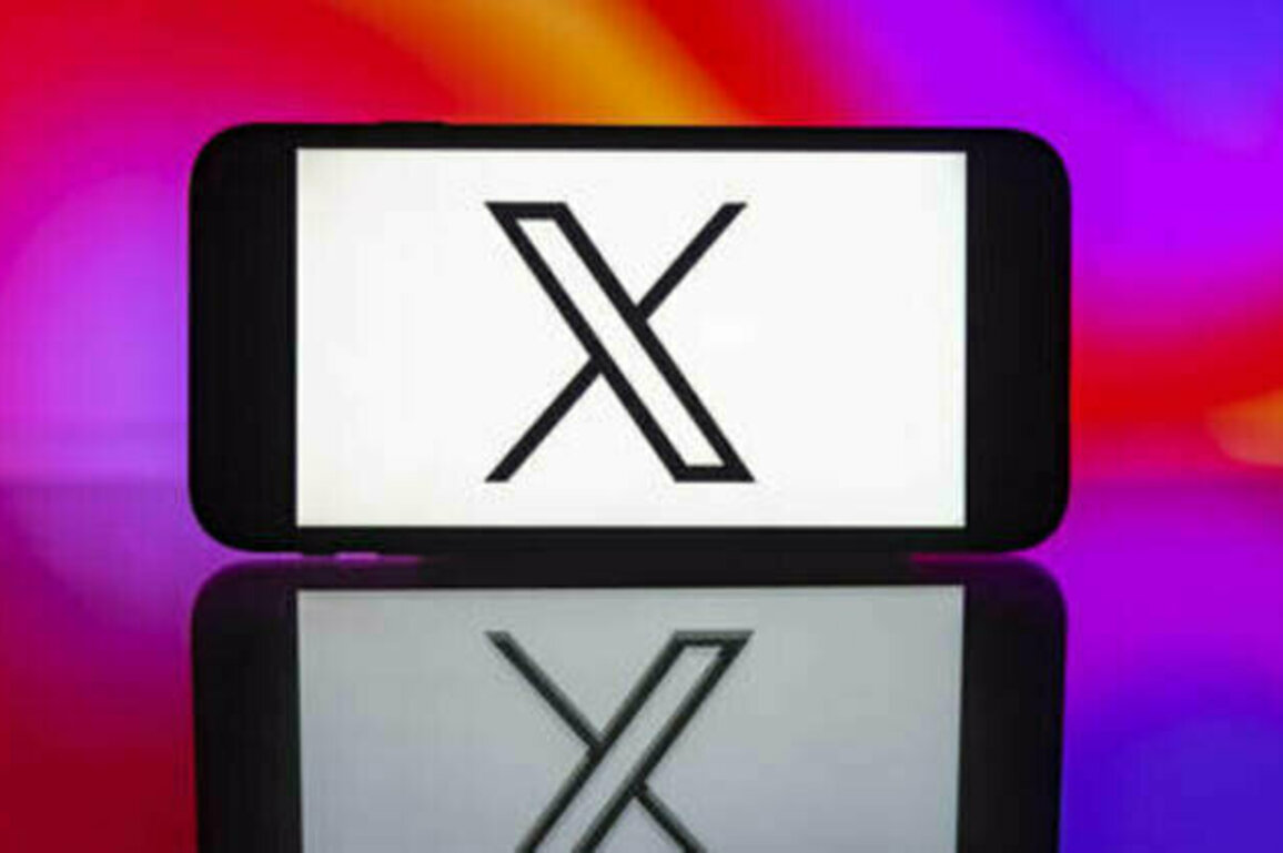 Musk's X sues India over alleged censorship - media