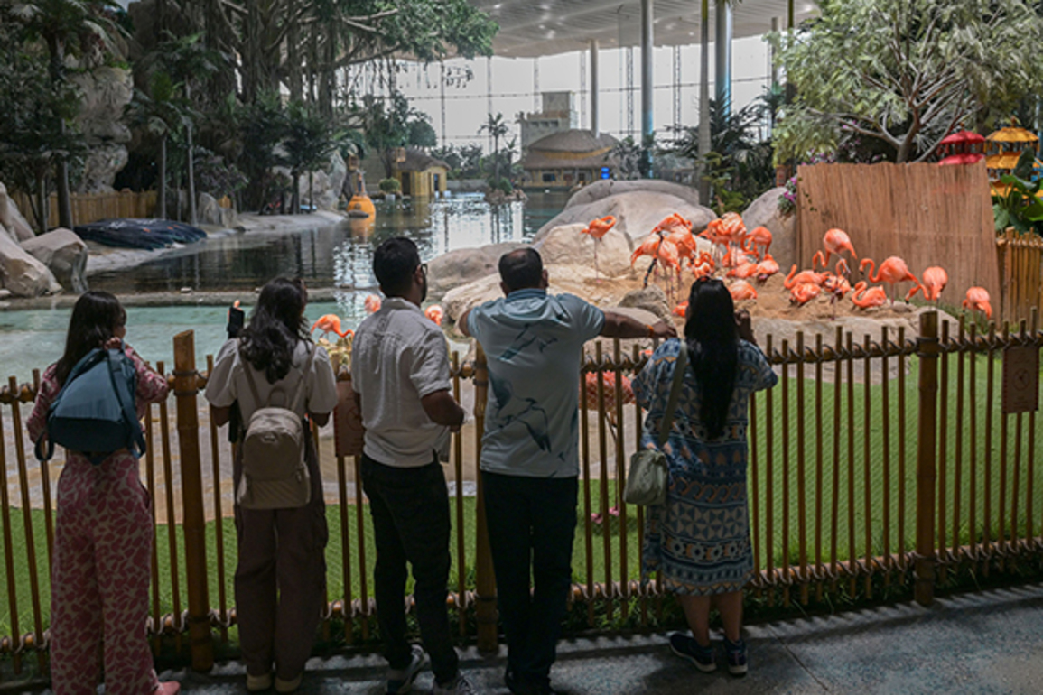 SeaWorld Abu Dhabi enriches marine knowledge, entertainment