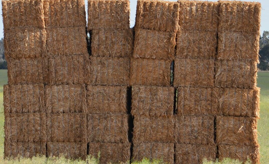 A WA hay processor has been fined after a worker suffered a broken leg and de-gloving. 