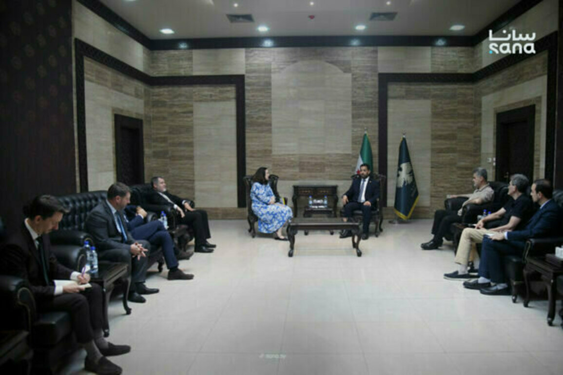 Syria, Czech Republic Discuss Boosting Health Cooperation