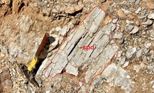 Outcropping spodumene within the Giraul pegmatite field 