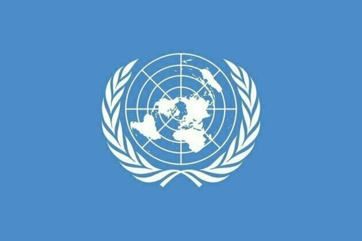 UN suspends its humanitarian work in Yemen's Saada after more staff abductions