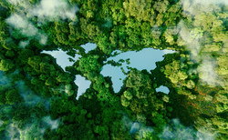 ESG investing in emerging markets faces major hurdles 