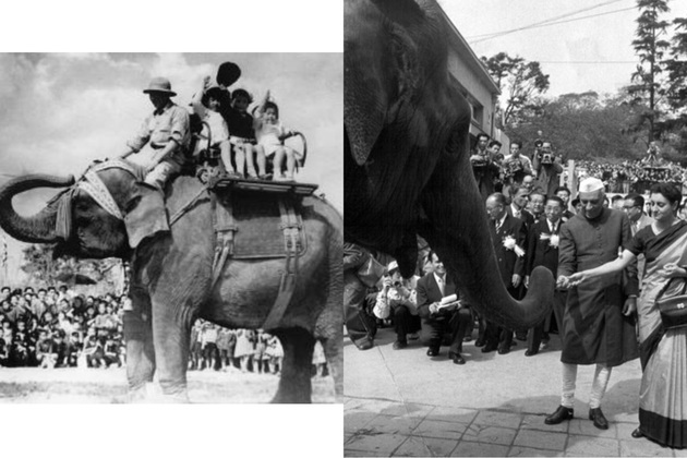 Indian children's 'jumbo' gift that brought joy to Japan post World War 2