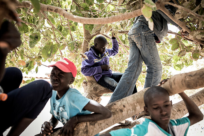 oung street children also referred to as alibe are seen playing in a tree in a quarantined area at a refuge for newly arrived street children outside akar on pril 10 2020