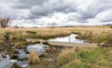 McPhillamy's gold project in NSW.