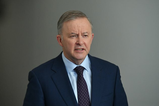 Albanese offers more university places and free TAFE spots