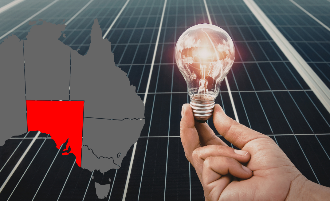 SA govt launches tender process under mass acreage release