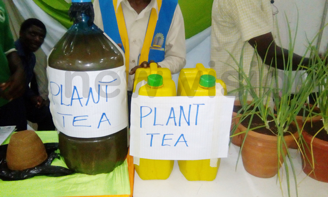 Plants too, need tea... Plants too, need tea...