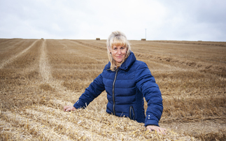 Minette Batters determined to provide 'meaningful recommendations' on farm profitability