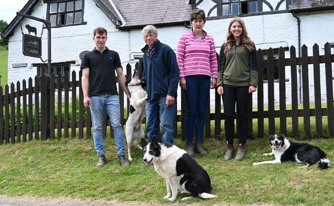 Beulah Speckled Face sheep form foundation of Welsh family's quality livestock enterprise