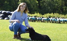 Making the most of opportunities - Young farmer builds sheep and beef enterprise