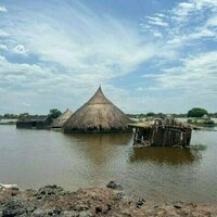 Changement climatique : la protection de la nature et l'energie verte ont la cote