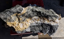 RNC Minerals will display some of the highest-grade gold specimens ever discovered