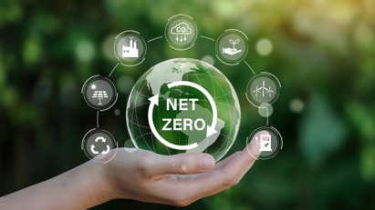 Three more BMF members become Zero Carbon Champions