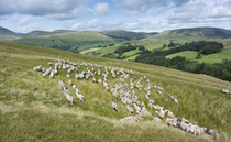 Farmers urged to share their experience of upland life