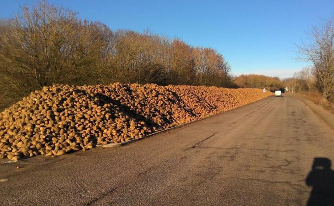 The sugar beet piled on Old Norwich Road in Suffolk (Suffolk Highways)