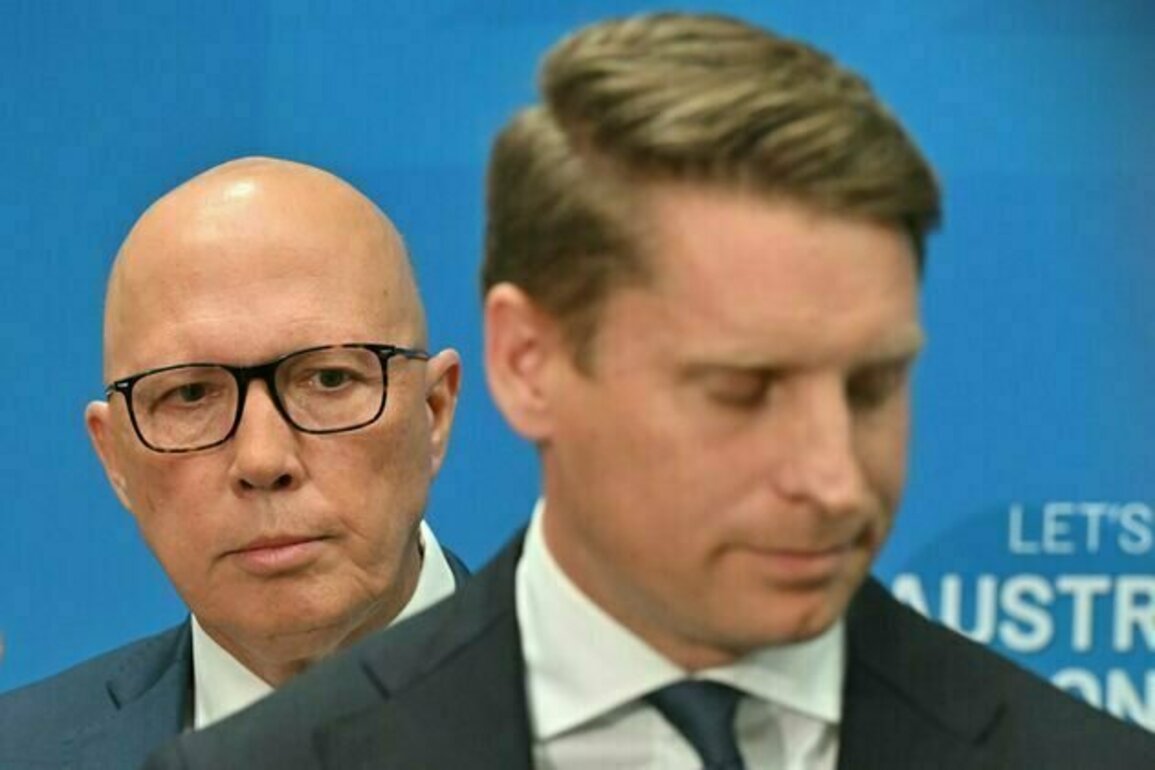 Grattan on Friday: Coalition's campaign lacks good planning and enough elbow grease