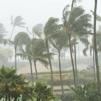 Cyclones drive people to buy health insurance, more so than some government campaigns