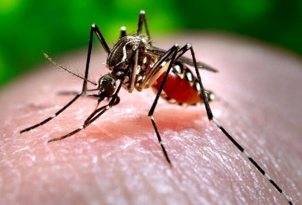 Dengue cases continue to rise in Nepal as monsoon recedes