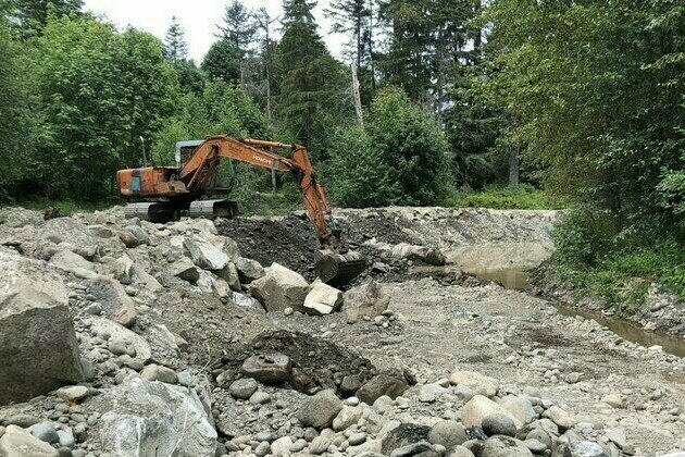 Property owner fined $60,000 for destroying vital fish habitat on Vancouver Island, B.C.