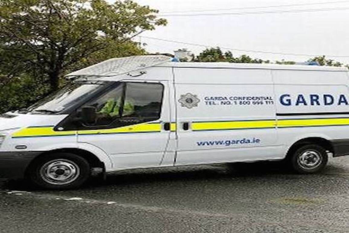 Gardaí appeal for footage after fatal bus crash in capital