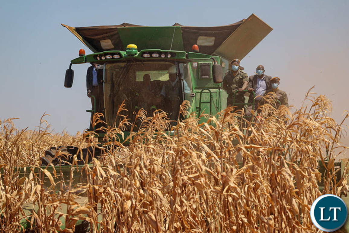 Its a Bumper Harvest!-projected 3.7 million tonnes of maize