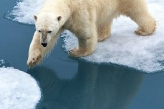 Climate crisis gatecrashes OPEC gathering