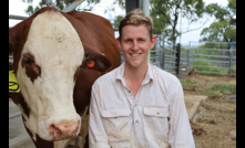  Dr Thomas Williams is leading a research project which uses smart collars on cows to monitor behaviour and movement. Picture courtesy University of Queensland.