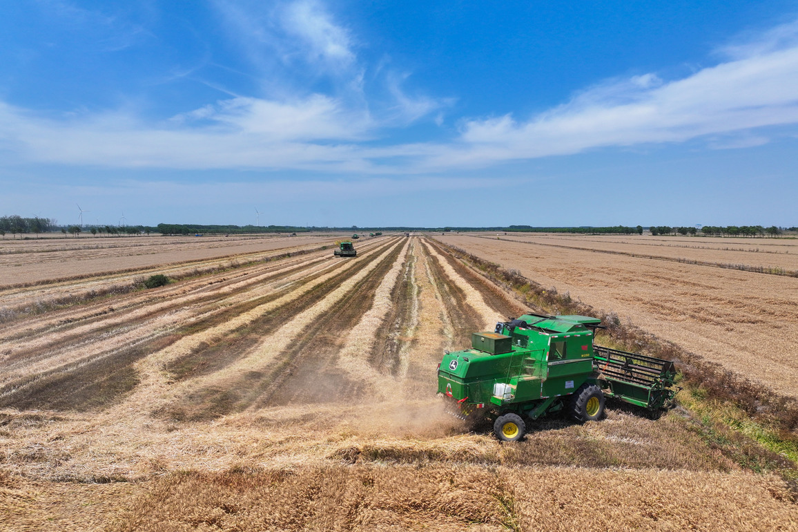 CHINA-JIANGSU-WHEAT HARVEST (CN)