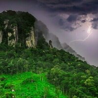 Panama Tree Species Uses Lightning to Eliminate Rivals