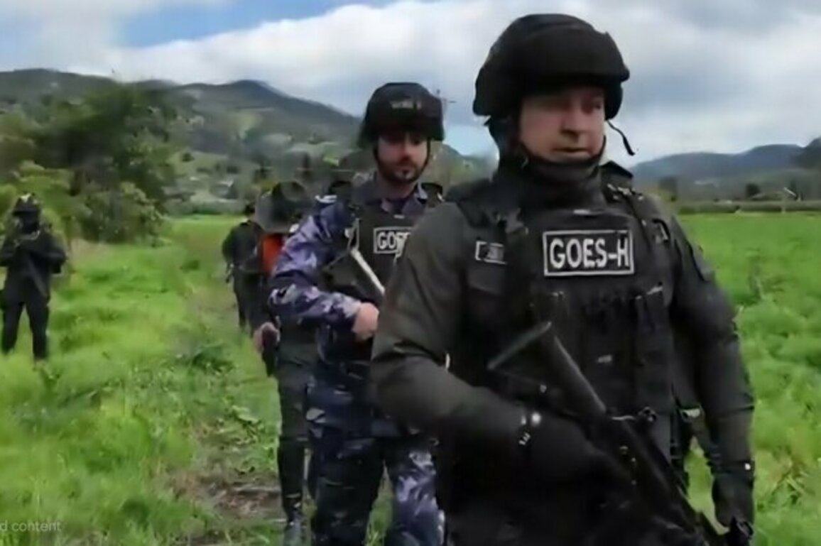 Operation Green Shield dismantles criminal networks in Amazon, seizes $64 million in assets